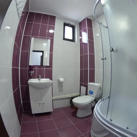 Guest house Razvan Costinesti